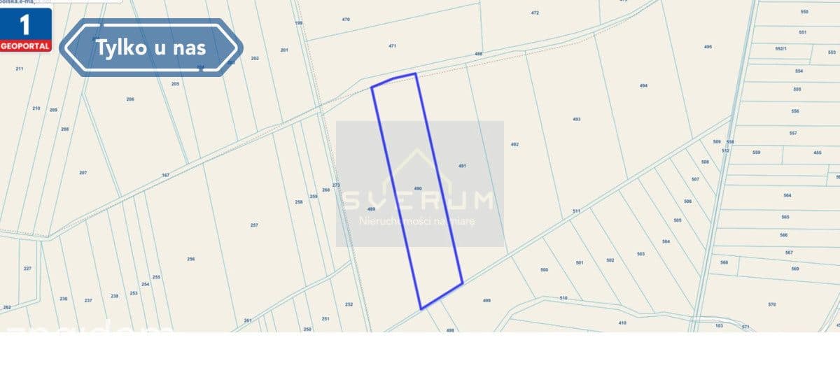 4,41 ha | Kl. III i IV | Gmina Przyrów - zdjęcie 4