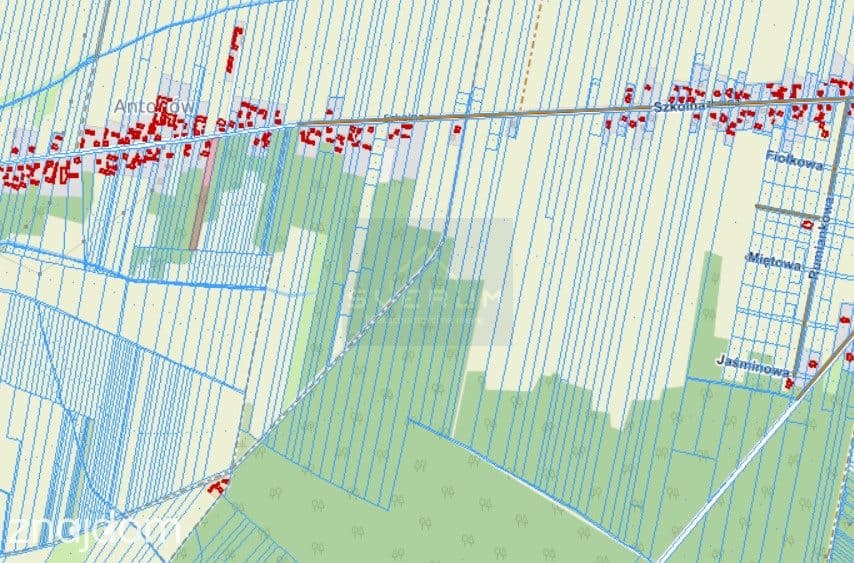 Działka budowlana Antonów , Przystajń - zdjęcie 2
