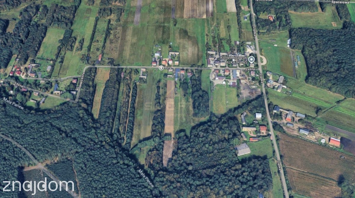 Duża działka Budowlano-rolna Cynków Gm.Koziegłowy - zdjęcie 4