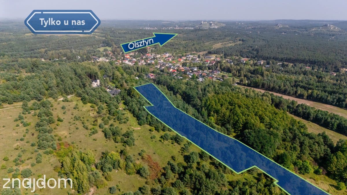 Piękna Malownicza Działka Jura Skrajnica - zdjęcie 5