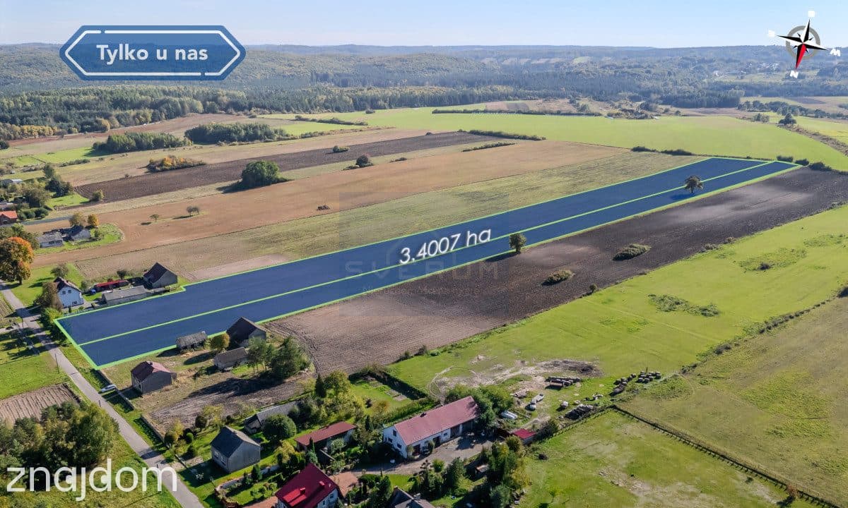 Duża działka Pabianice gm. Janów - zdjęcie 7