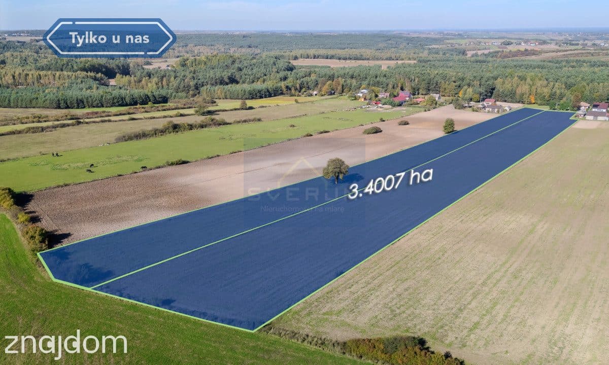Duża działka Pabianice gm. Janów - zdjęcie 8