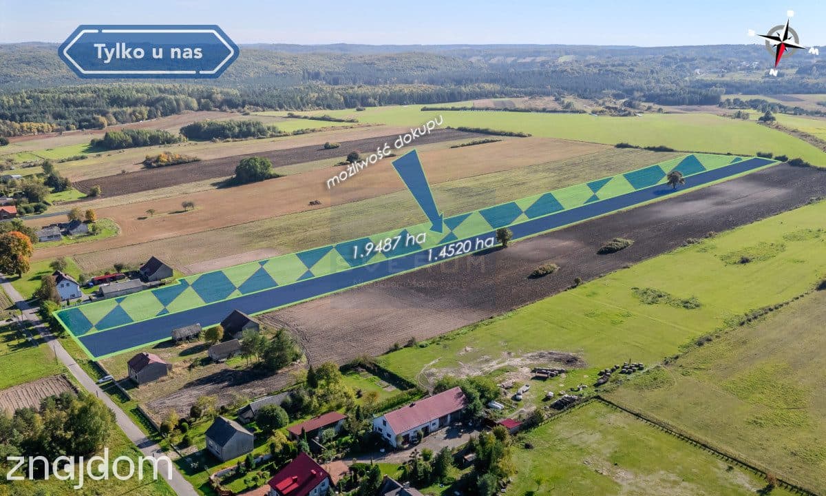 Duża działka budowlana Pabianice gm. Janów - zdjęcie 7