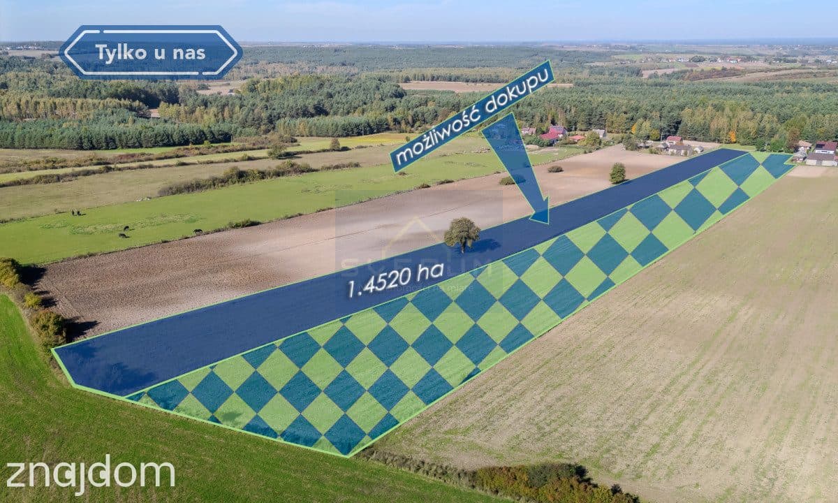 Duża działka budowlana Pabianice gm. Janów - zdjęcie 5