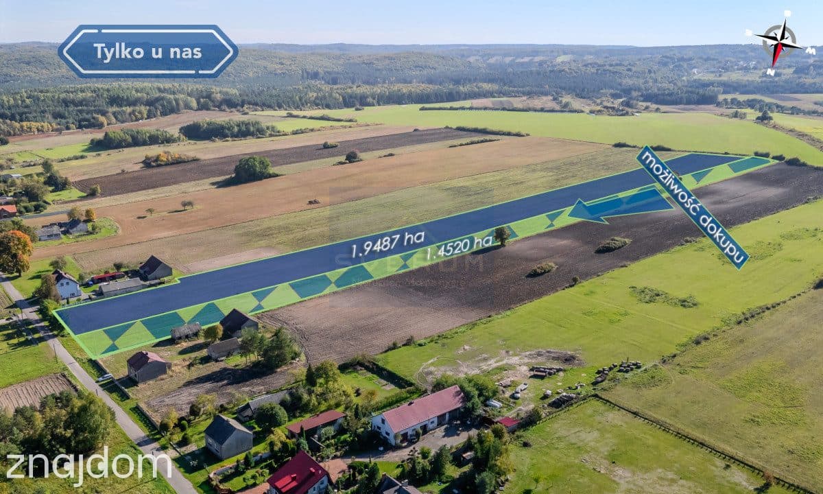 Duża działka Pabianice gm. Janów - zdjęcie 6