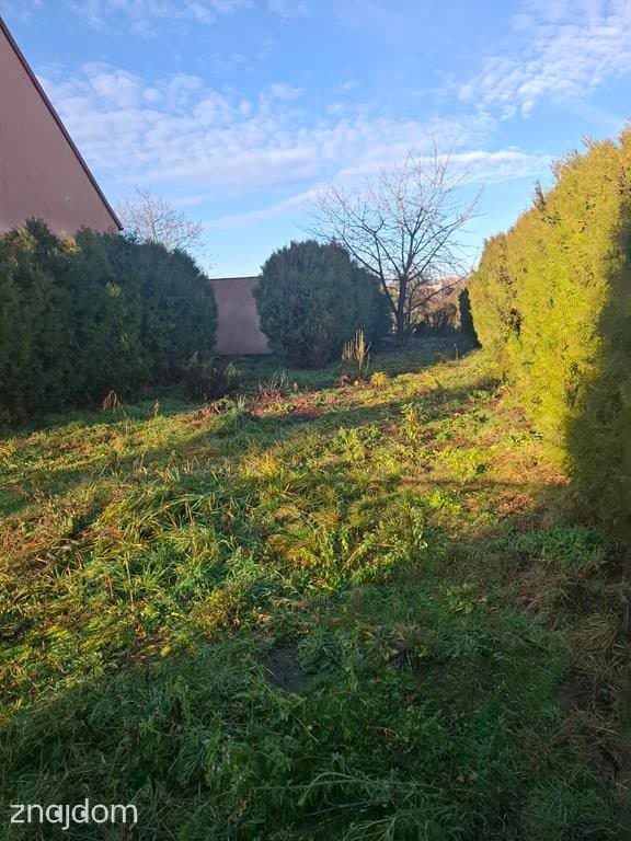 Ładna działka budowlana w Strykowie ! - zdjęcie 5