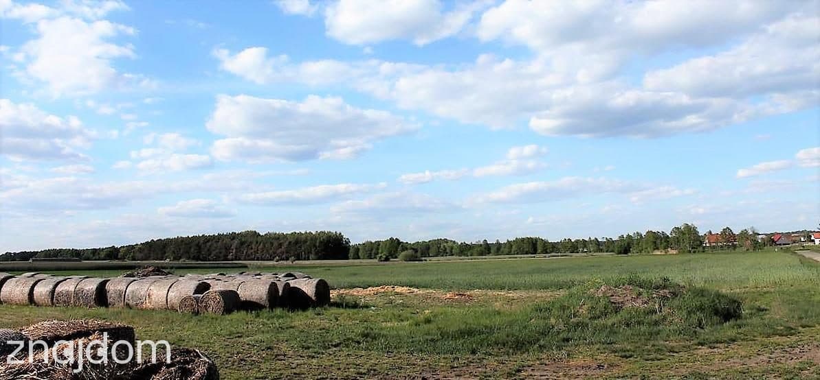 Działka blisko Wolsztyna z mpzp - zdjęcie 7