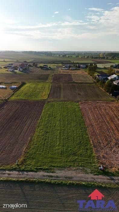 Działka budowlana w Gąsawie - zdjęcie 2