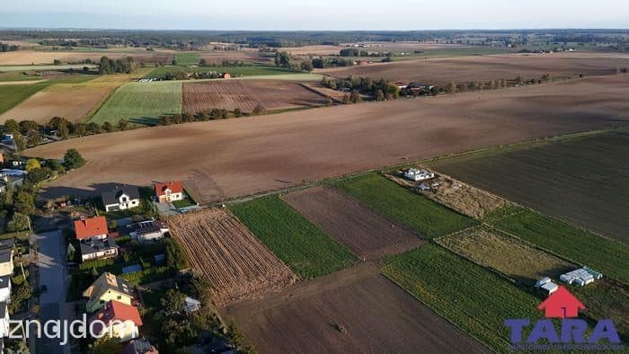 Działka budowlana w Gąsawie - zdjęcie 3