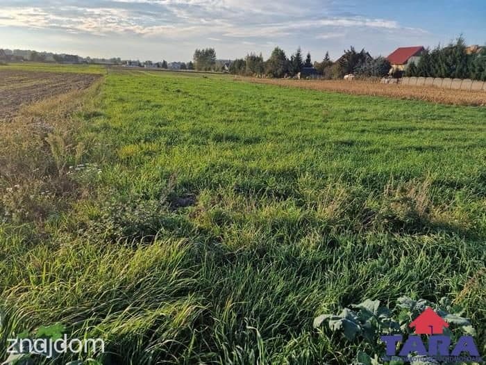 Działka budowlana w Gąsawie - zdjęcie 6