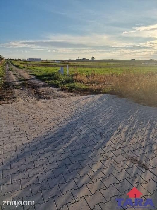 Działka budowlana w Gąsawie - zdjęcie 7