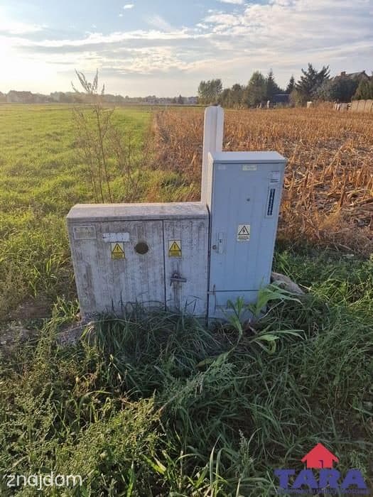 Działka budowlana w Gąsawie - zdjęcie 8