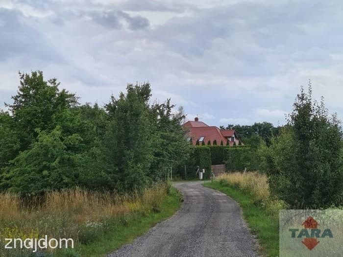 Działki w pięknej lokalizacji! - zdjęcie 6