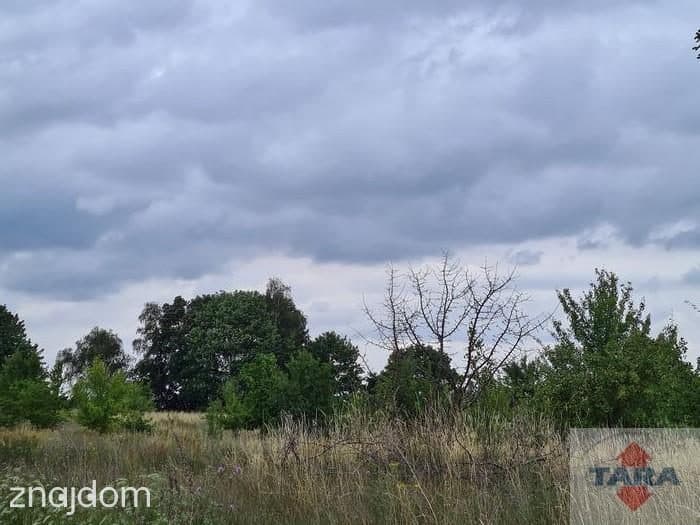 Działki w pięknej lokalizacji! - zdjęcie 7