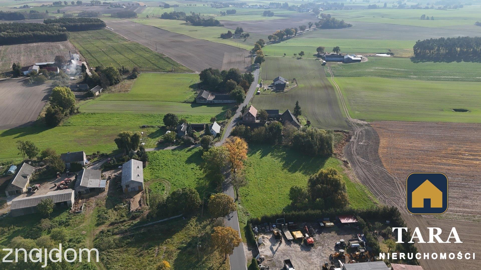 Działka 5 800 m² pod zabudowę zagrodową – Zalesie koło Rogowa - zdjęcie 11