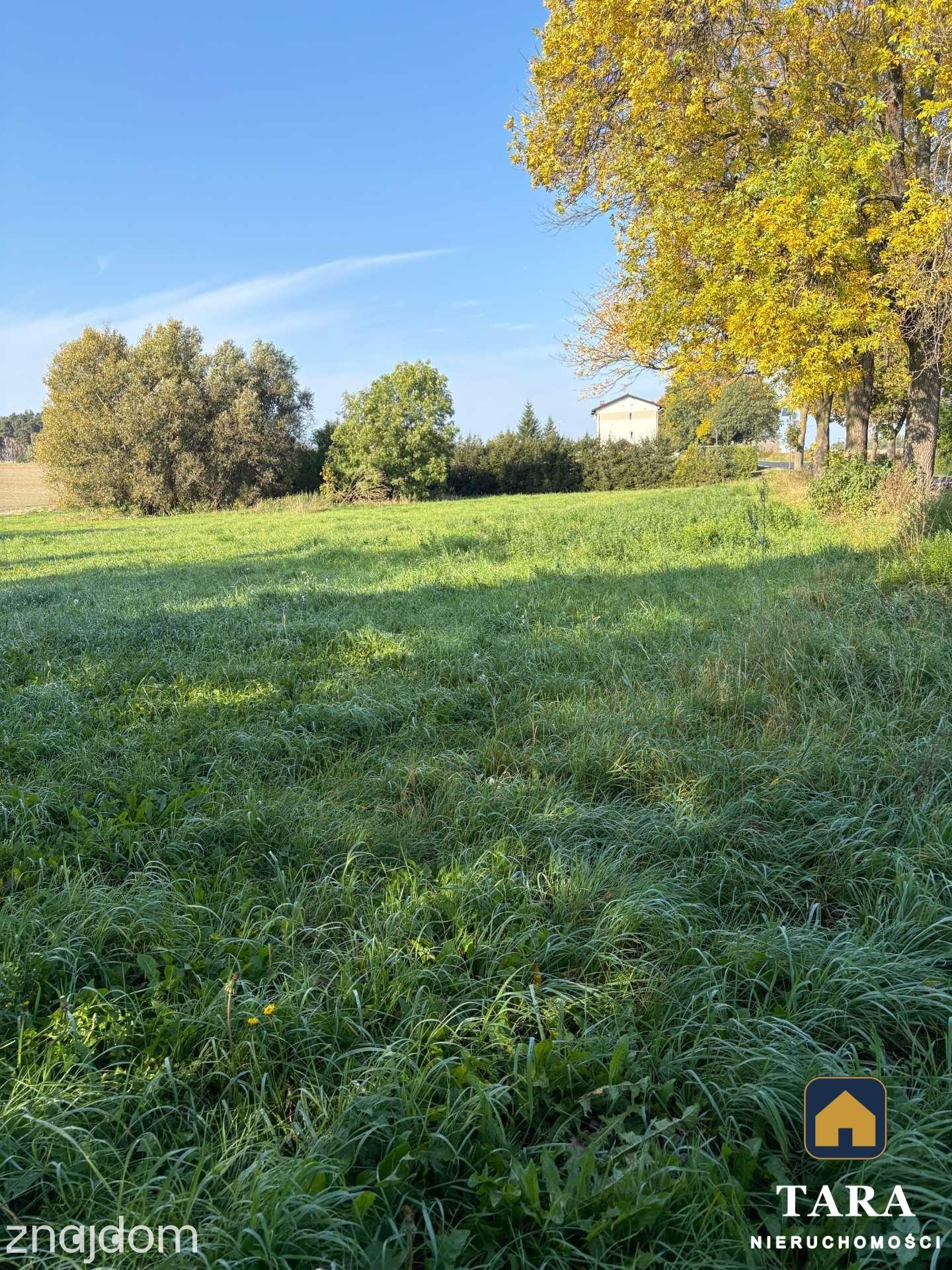 Działka 5 800 m² pod zabudowę zagrodową – Zalesie koło Rogowa - zdjęcie 13