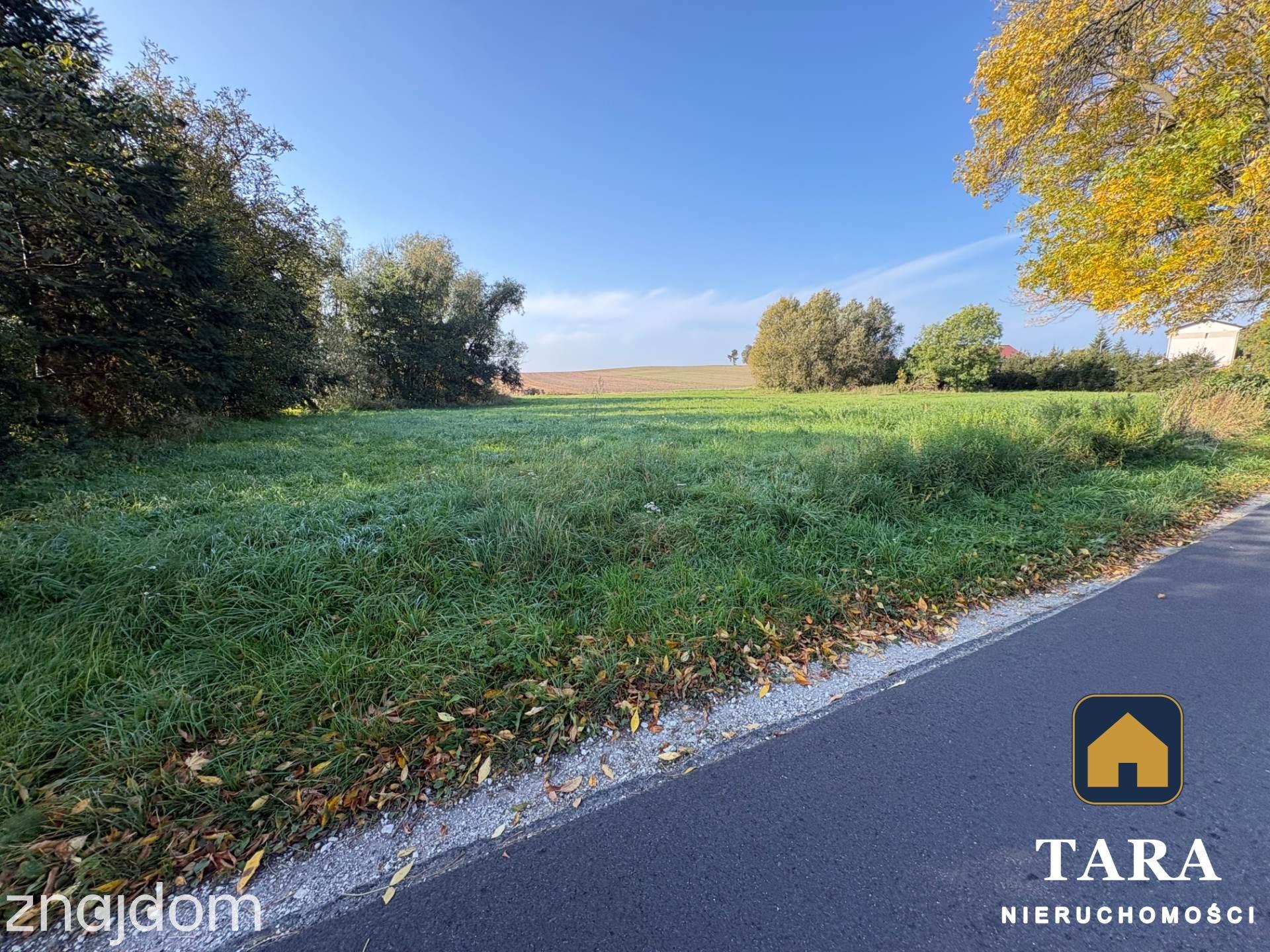 Działka 5 800 m² pod zabudowę zagrodową – Zalesie koło Rogowa - zdjęcie 14