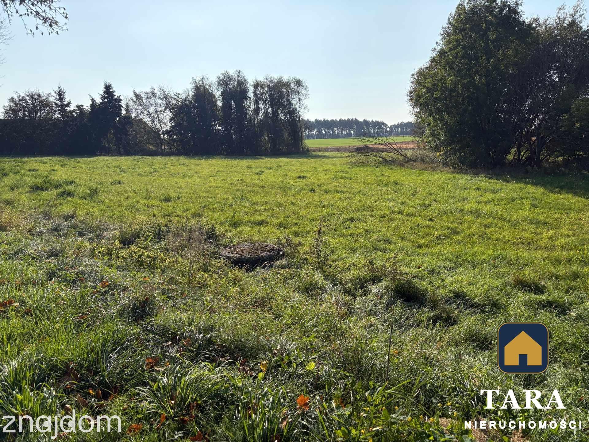Działka 5 800 m² pod zabudowę zagrodową – Zalesie koło Rogowa - zdjęcie 15