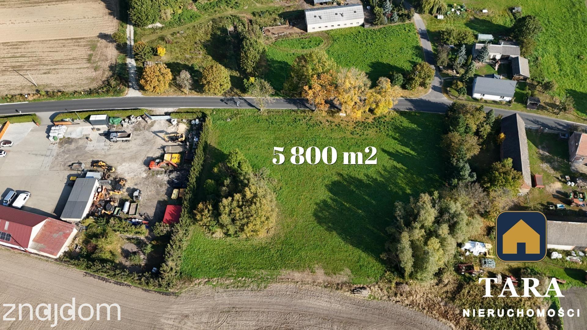 Działka 5 800 m² pod zabudowę zagrodową – Zalesie koło Rogowa - zdjęcie 2