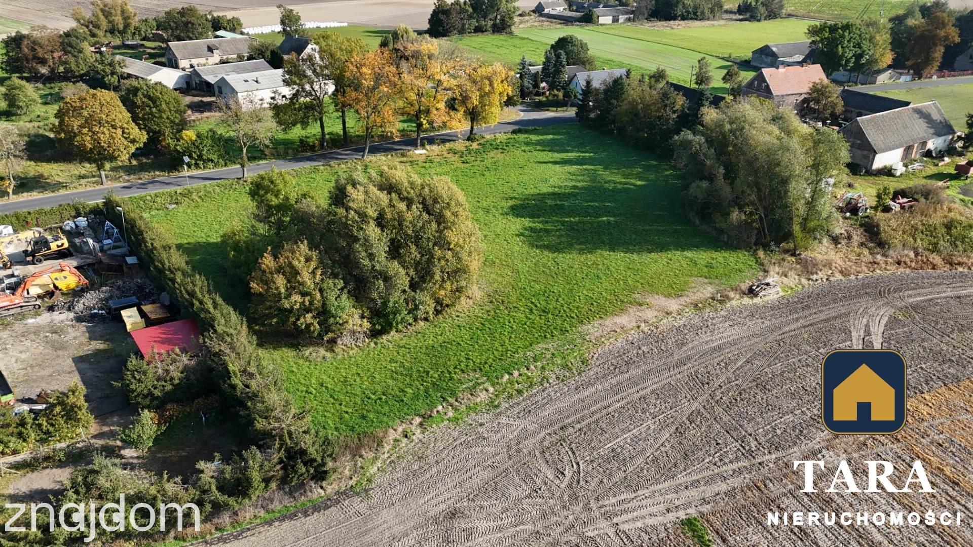 Działka 5 800 m² pod zabudowę zagrodową – Zalesie koło Rogowa - zdjęcie 3