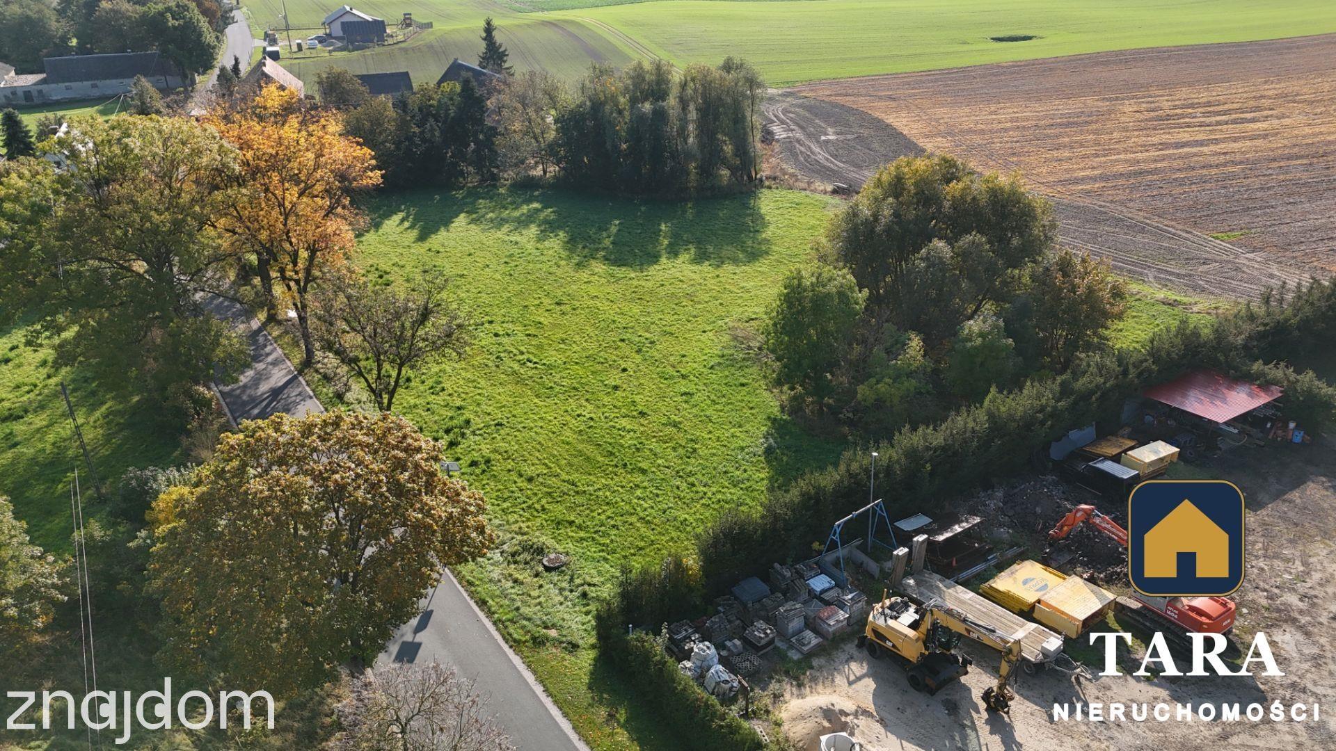 Działka 5 800 m² pod zabudowę zagrodową – Zalesie koło Rogowa - zdjęcie 4