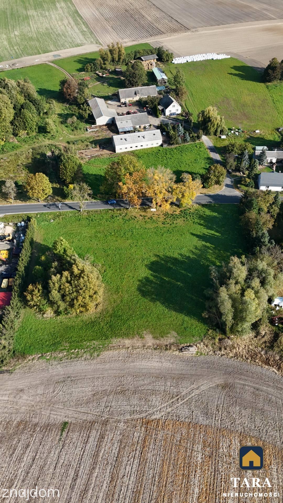 Działka 5 800 m² pod zabudowę zagrodową – Zalesie koło Rogowa - zdjęcie 5