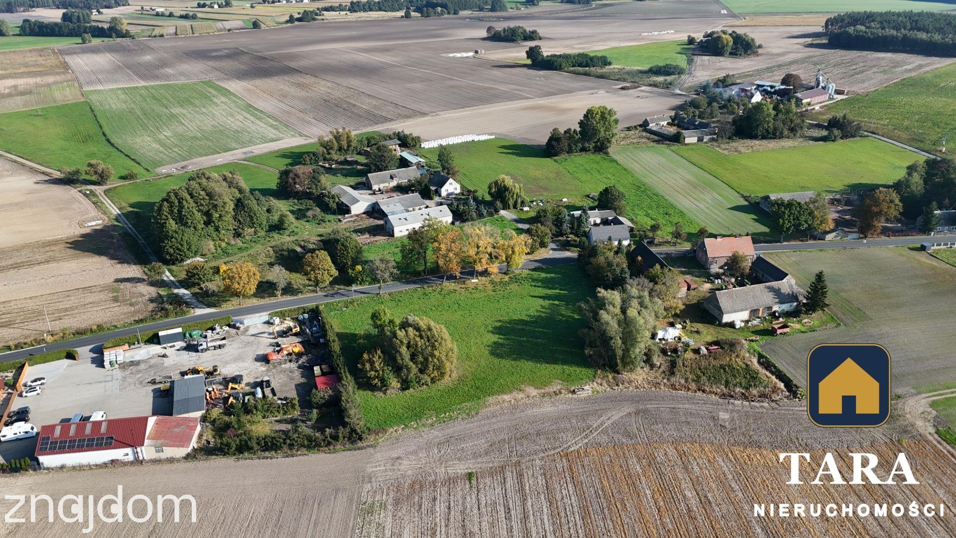 Działka 5 800 m² pod zabudowę zagrodową – Zalesie koło Rogowa - zdjęcie 6