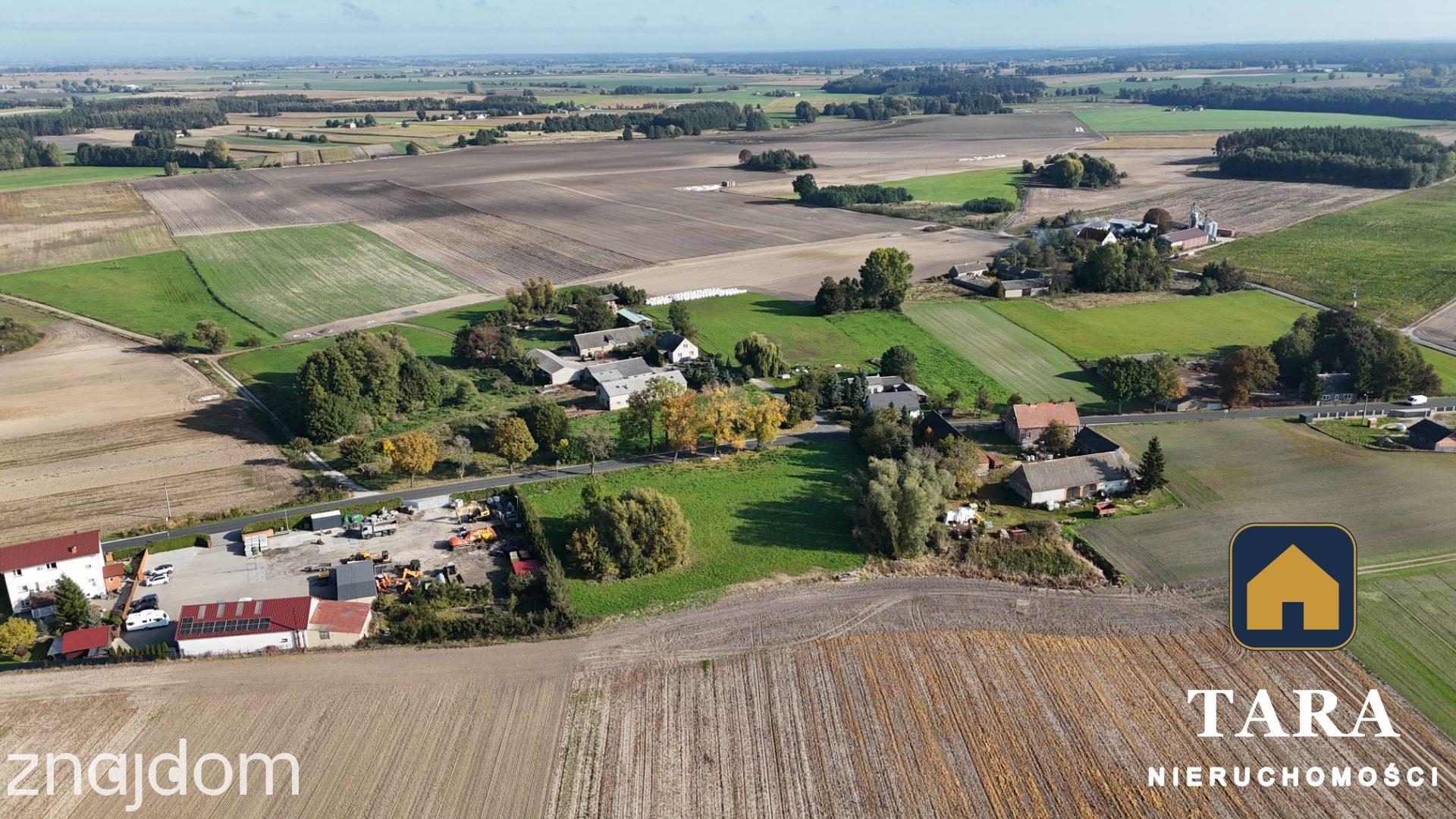 Działka 5 800 m² pod zabudowę zagrodową – Zalesie koło Rogowa - zdjęcie 7