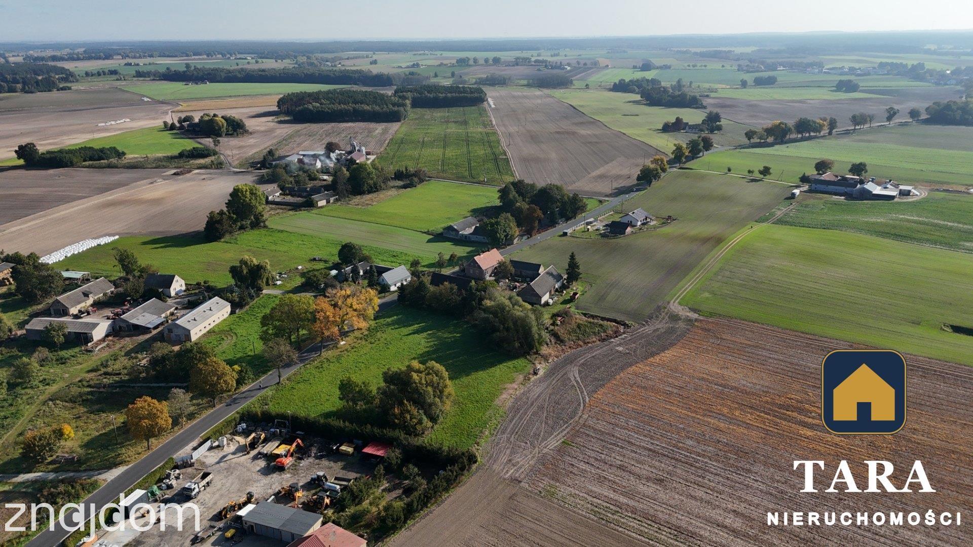 Działka 5 800 m² pod zabudowę zagrodową – Zalesie koło Rogowa - zdjęcie 8