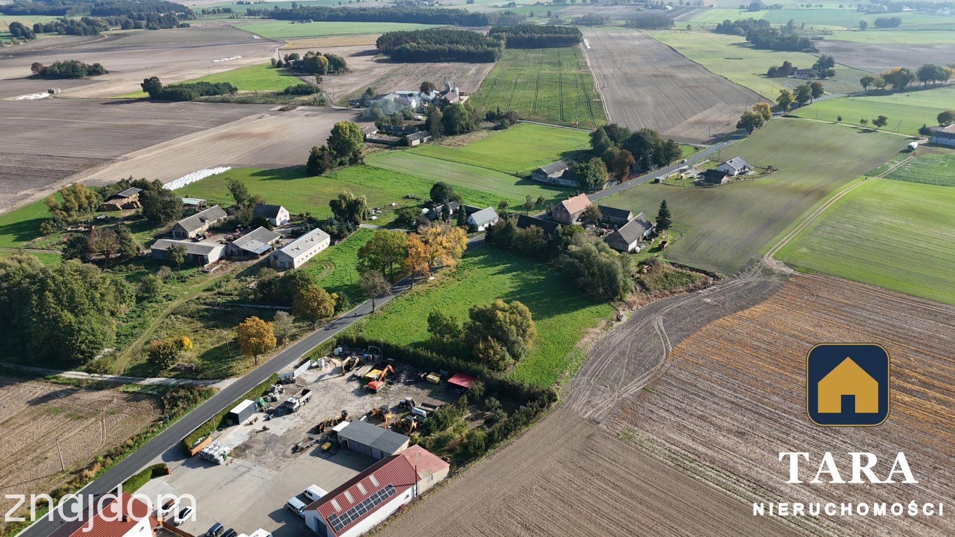 Działka 5 800 m² pod zabudowę zagrodową – Zalesie koło Rogowa - zdjęcie 9
