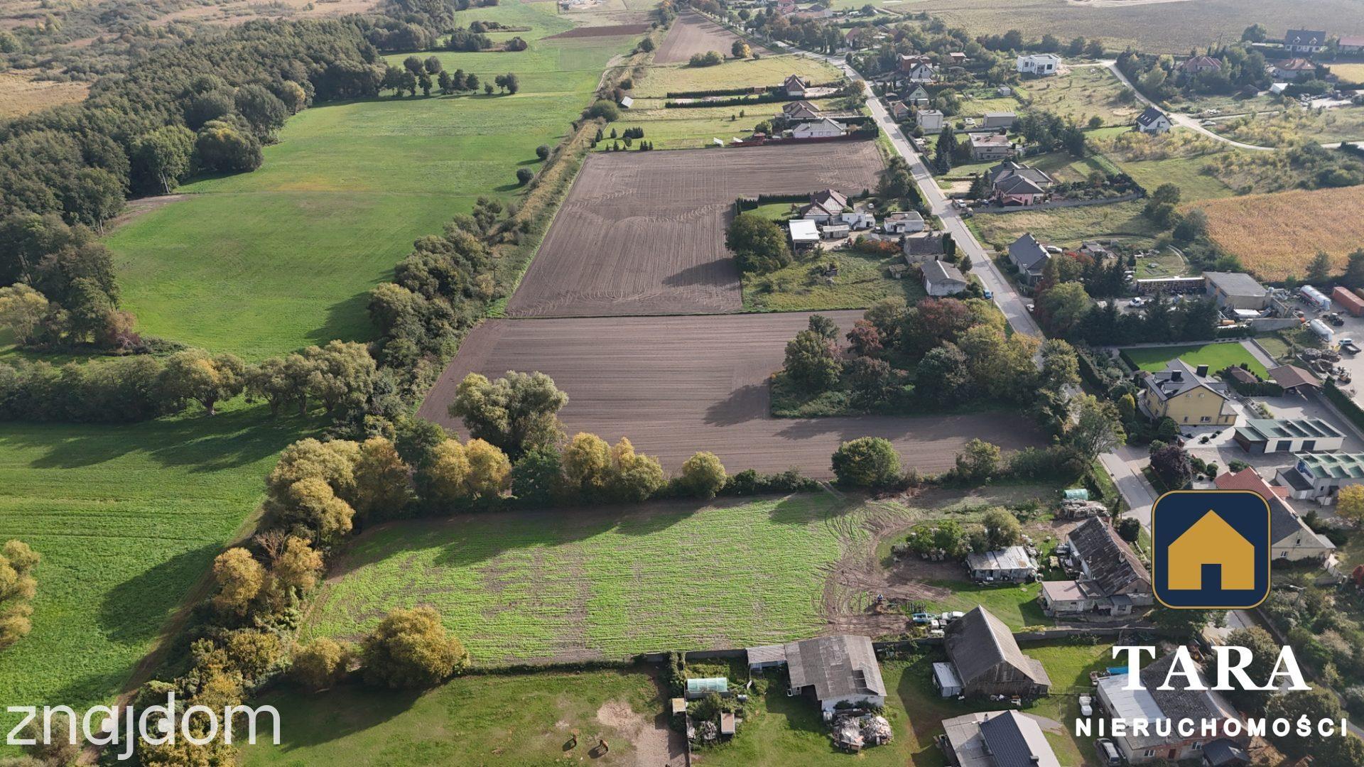 działka z WZ na 5 domów w Wolicach - zdjęcie 6