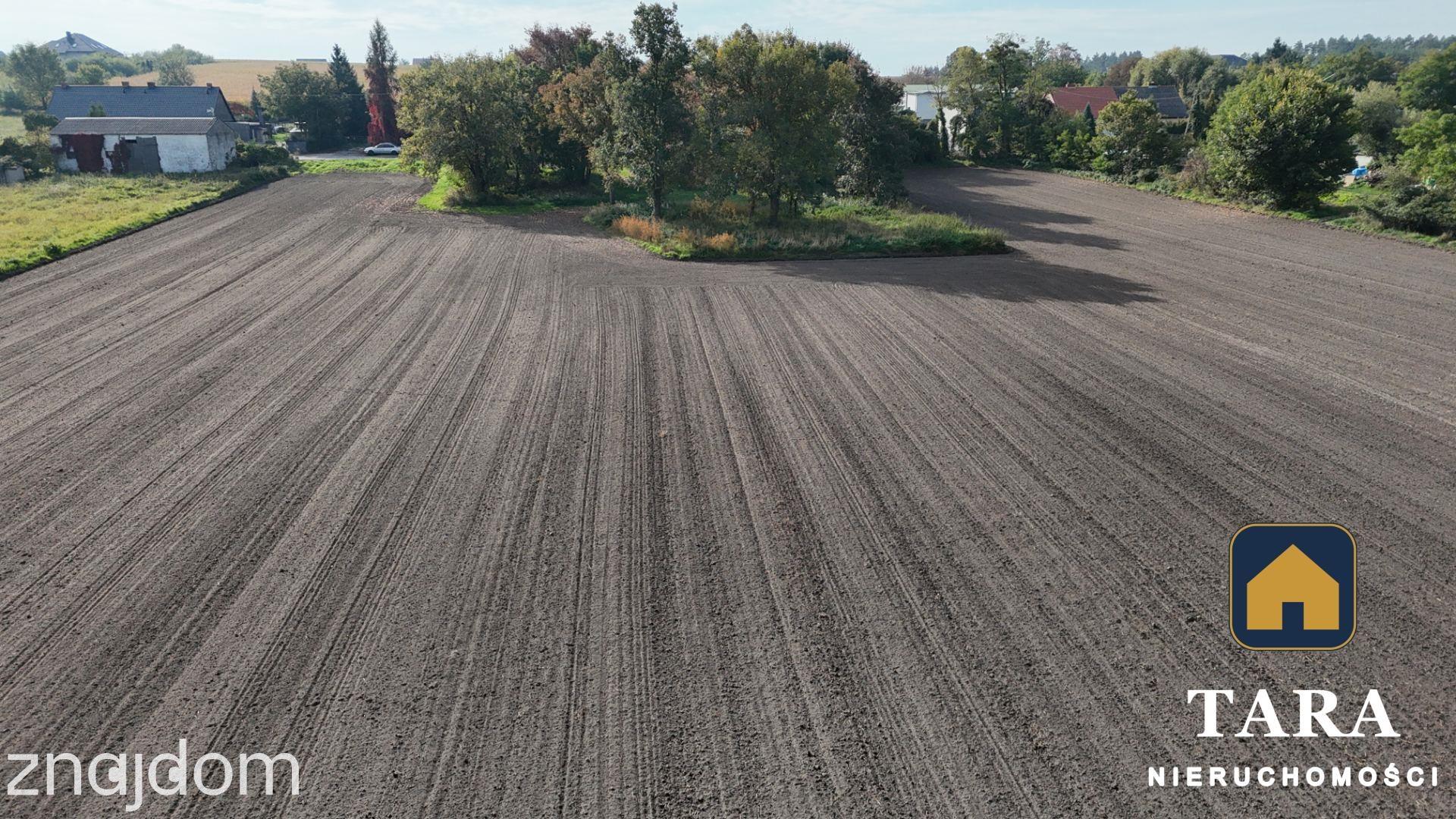 Działka dla dewelopera w Wolicach - zdjęcie 11