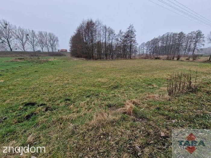 Działka w budowlana w Pturku - zdjęcie 5