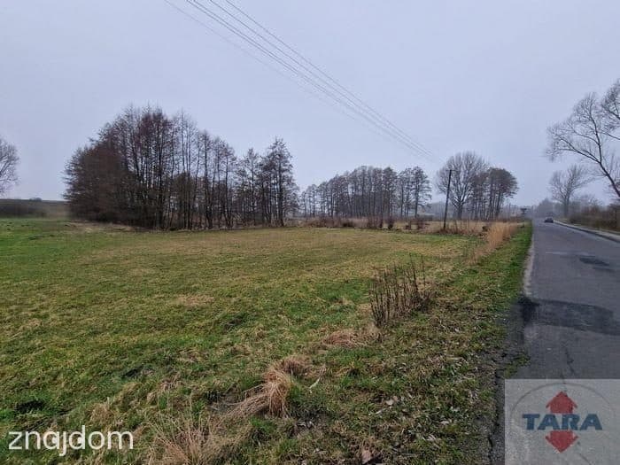 Działka w budowlana w Pturku - zdjęcie 6