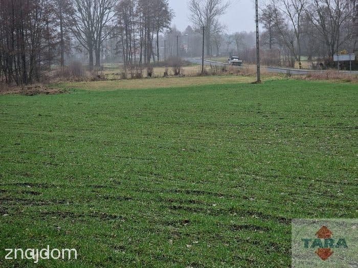 Działka w budowlana w Pturku - zdjęcie 7
