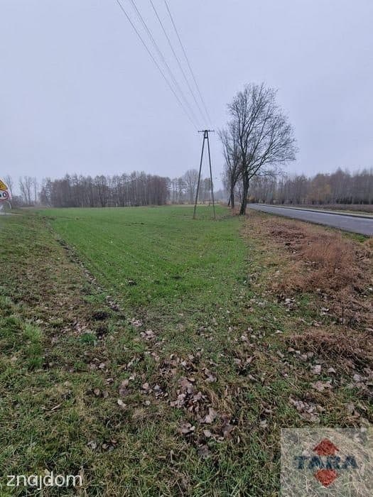 Działka w budowlana w Pturku - zdjęcie 8