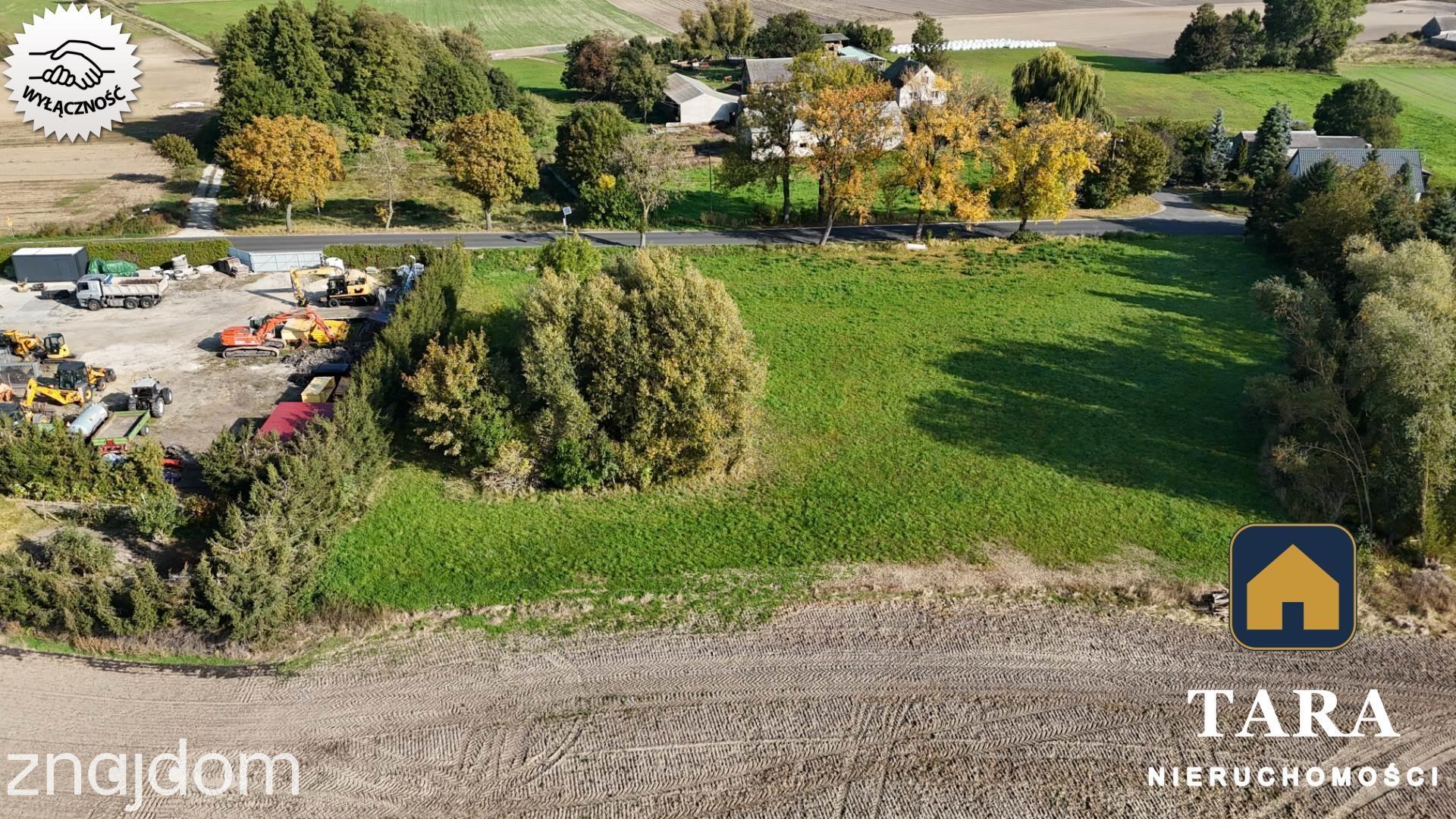 Działka 5 800 m² pod zabudowę zagrodową – Zalesie koło Rogowa