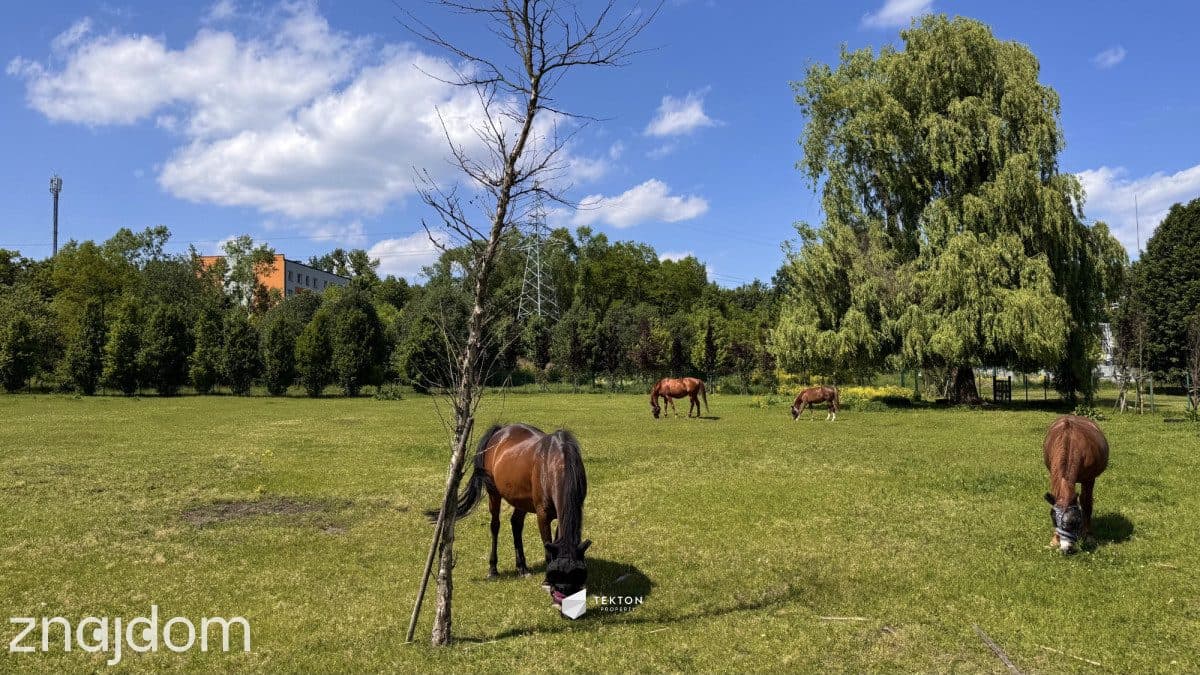 2-pokojowe mieszkanie - po generalnym remoncie. - zdjęcie 19