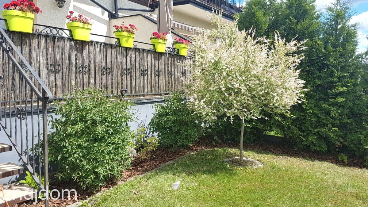 Słoneczna połowa bliźniaka Bojano| Sauna i jacuzzi - zdjęcie 7