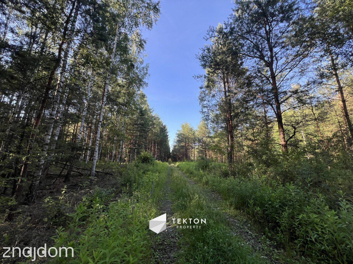 Duża działka budowlana 2768 m² | Trzciany | - zdjęcie 3