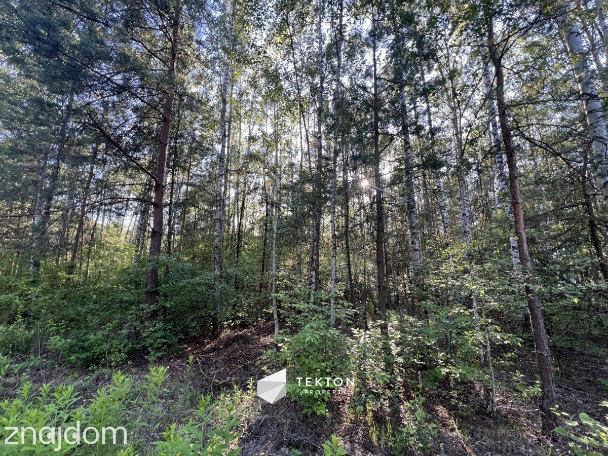 Duża działka budowlana 2768 m² | Trzciany | - zdjęcie 4