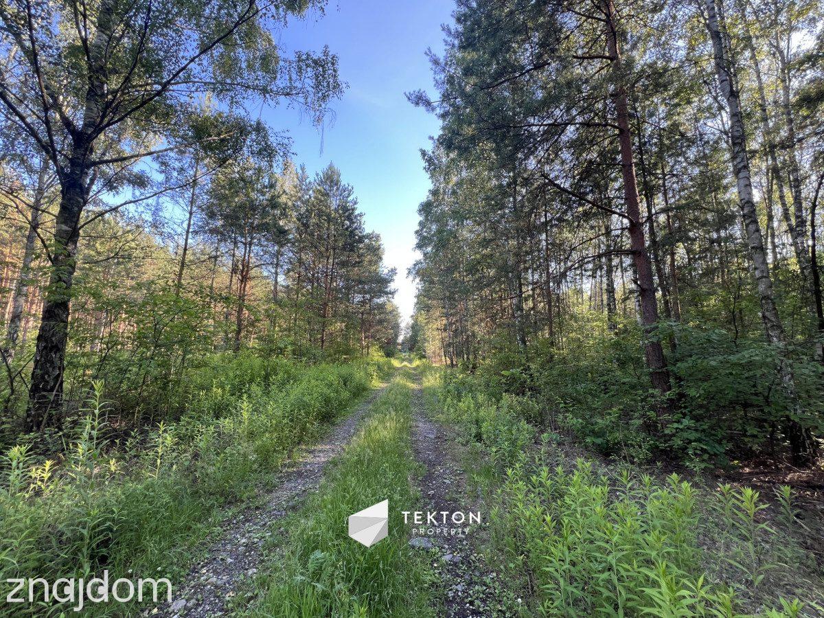 Duża działka budowlana 2768 m² | Trzciany | - zdjęcie 5