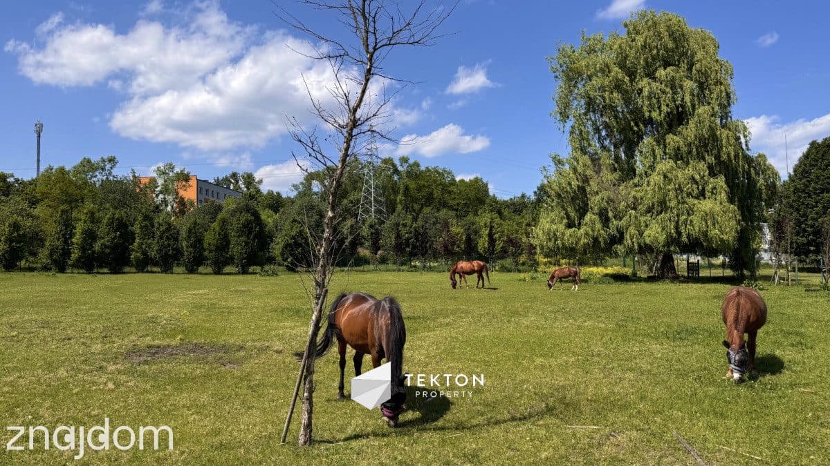 3 pokoje | Balkon | Oddzielna kuchnia - zdjęcie 20