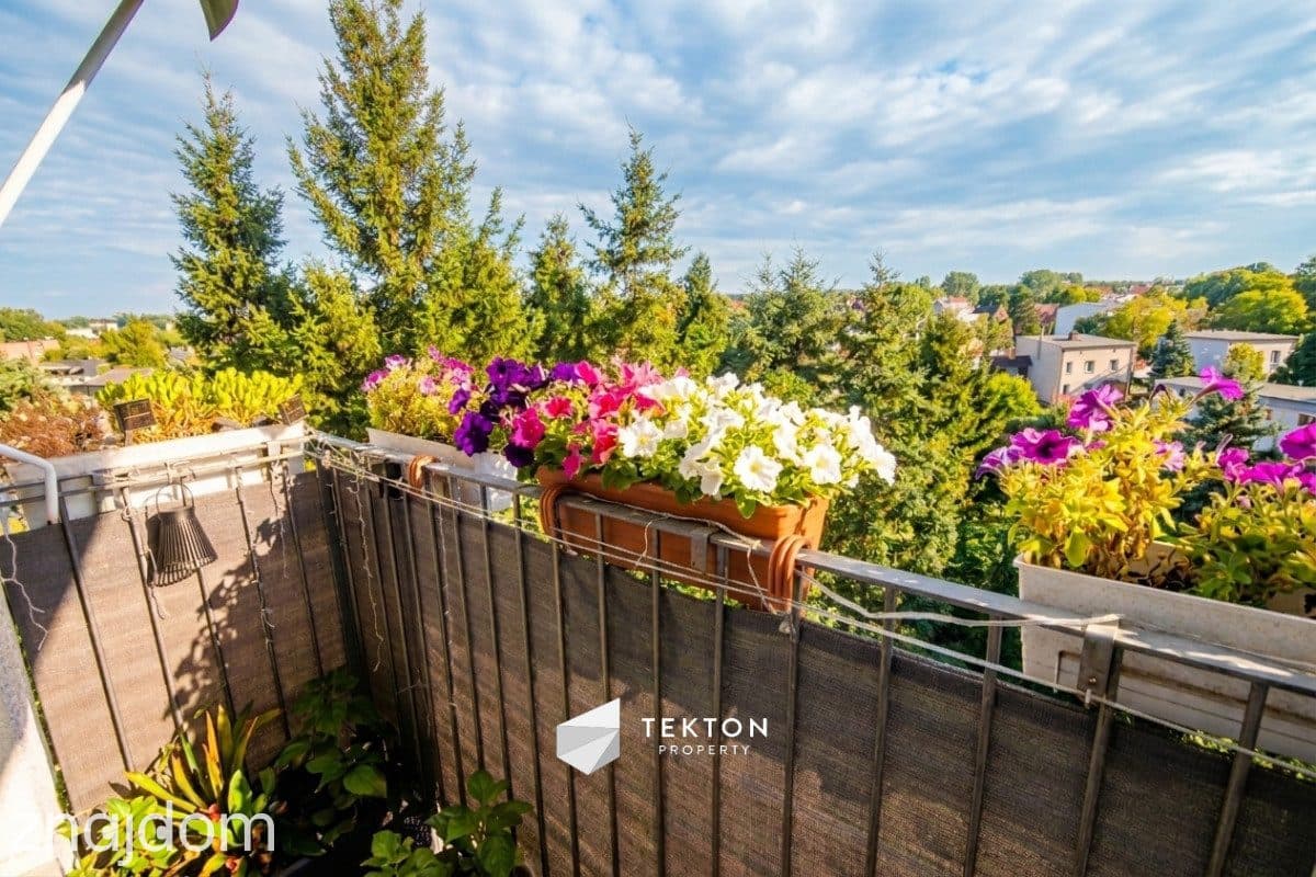 4 pokoje z balkonem, piwnicą i niezależną kuchnią - zdjęcie 4