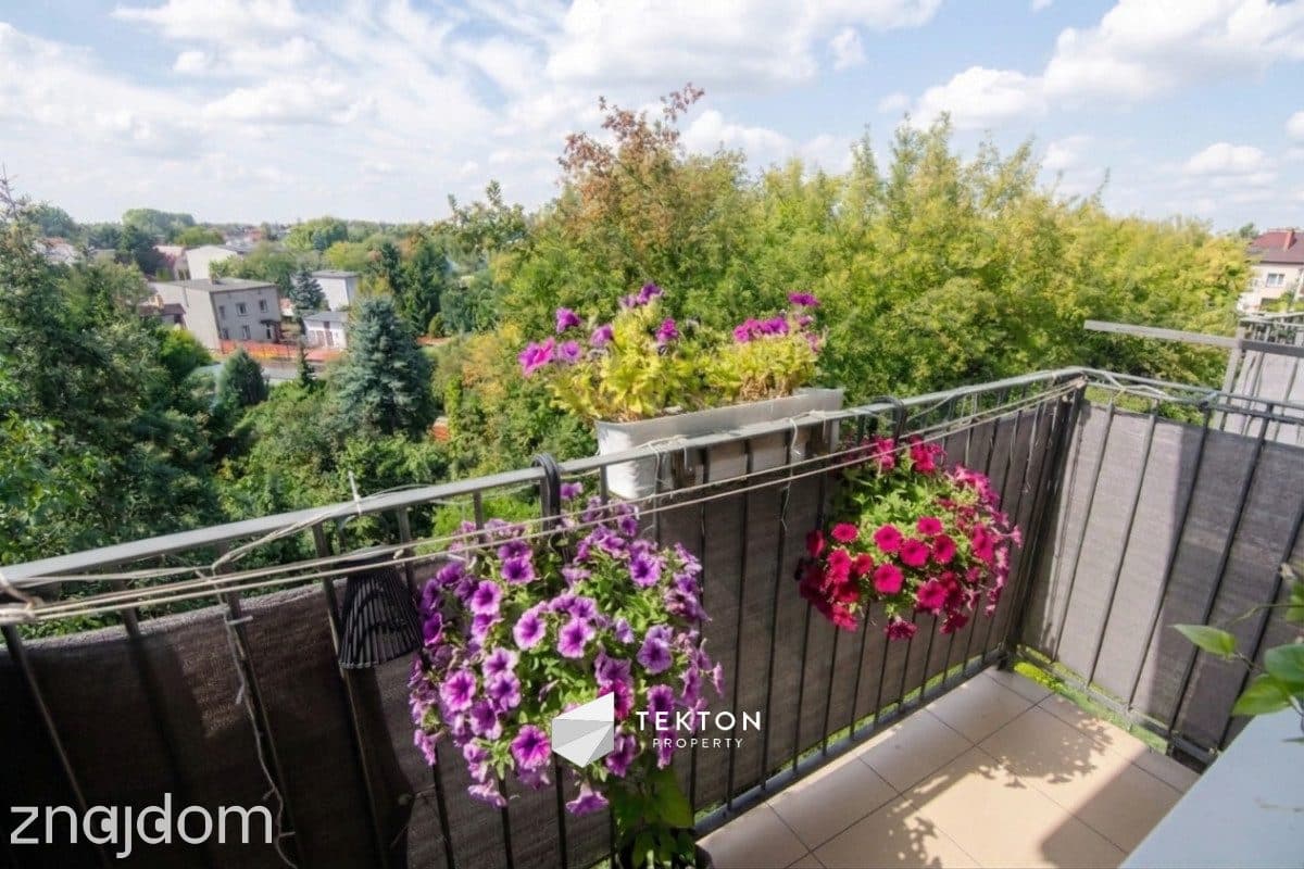 4 pokoje z balkonem, piwnicą i niezależną kuchnią - zdjęcie 5