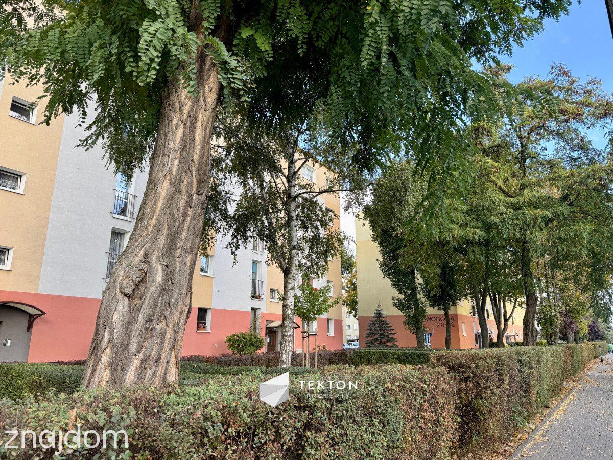 3 pokoje po remoncie 53,5 m² Grunwald – Marcelin - zdjęcie 9