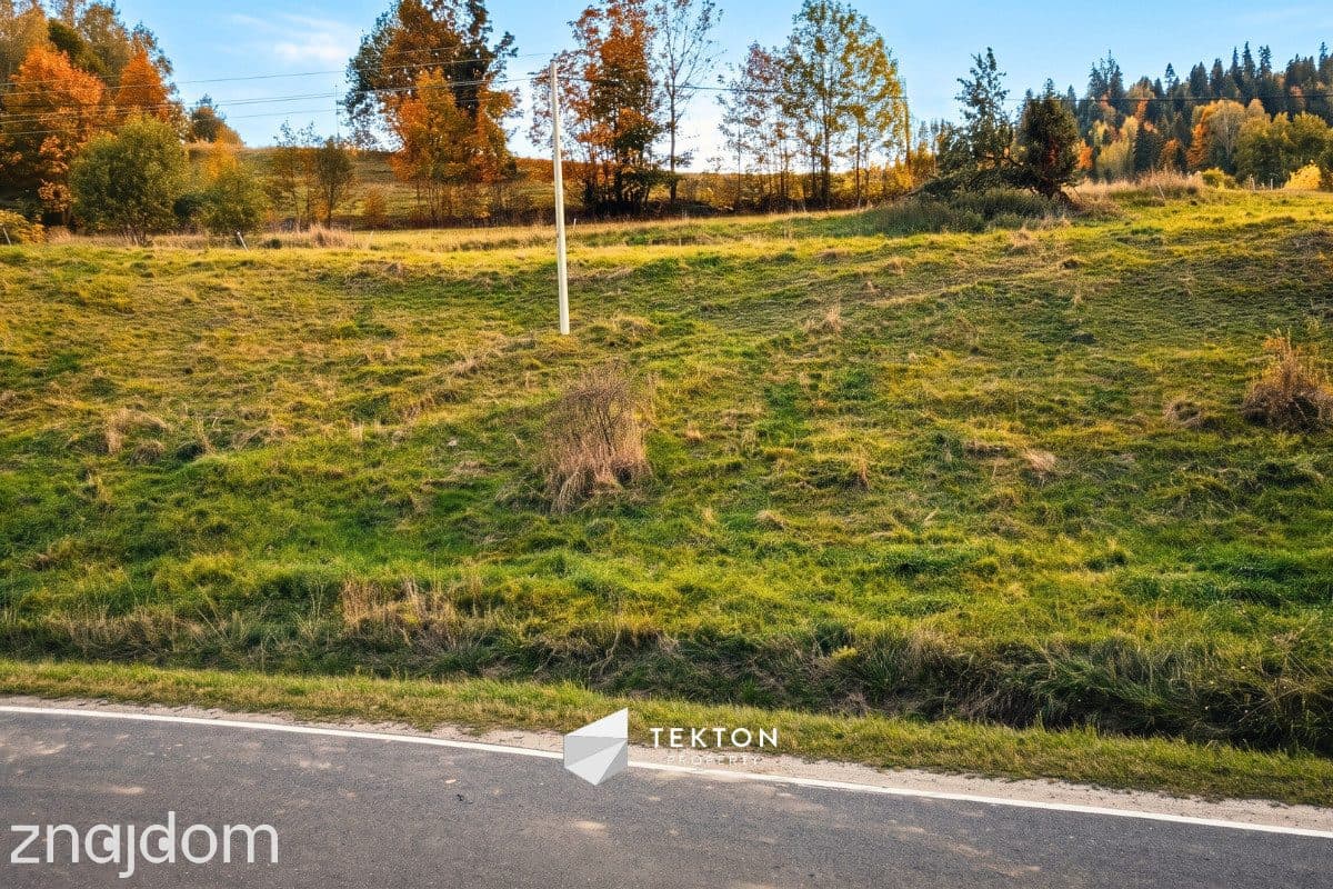 Łapszanka 779 m² budowlana przy drodze - zdjęcie 5