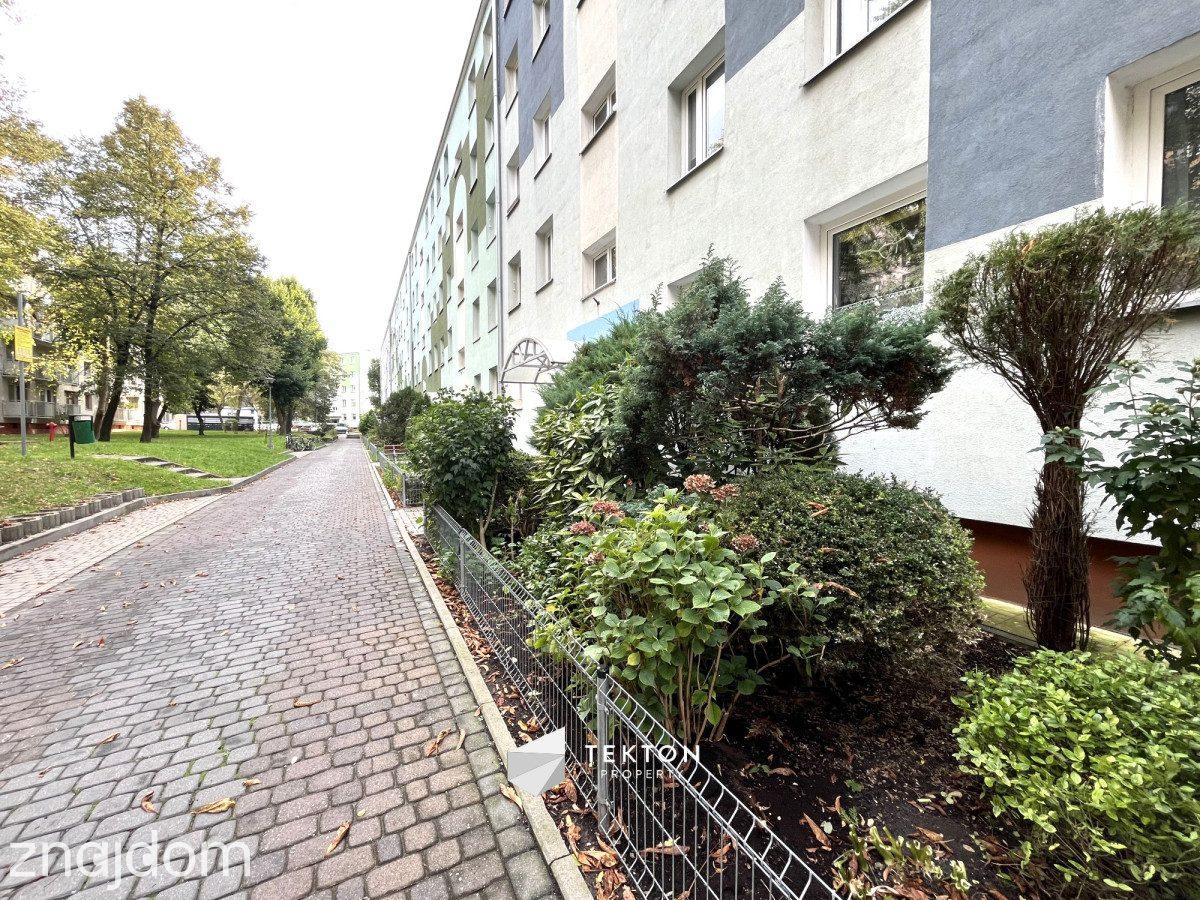 3-pokojowe mieszkanie po generalnym remoncie - zdjęcie 8