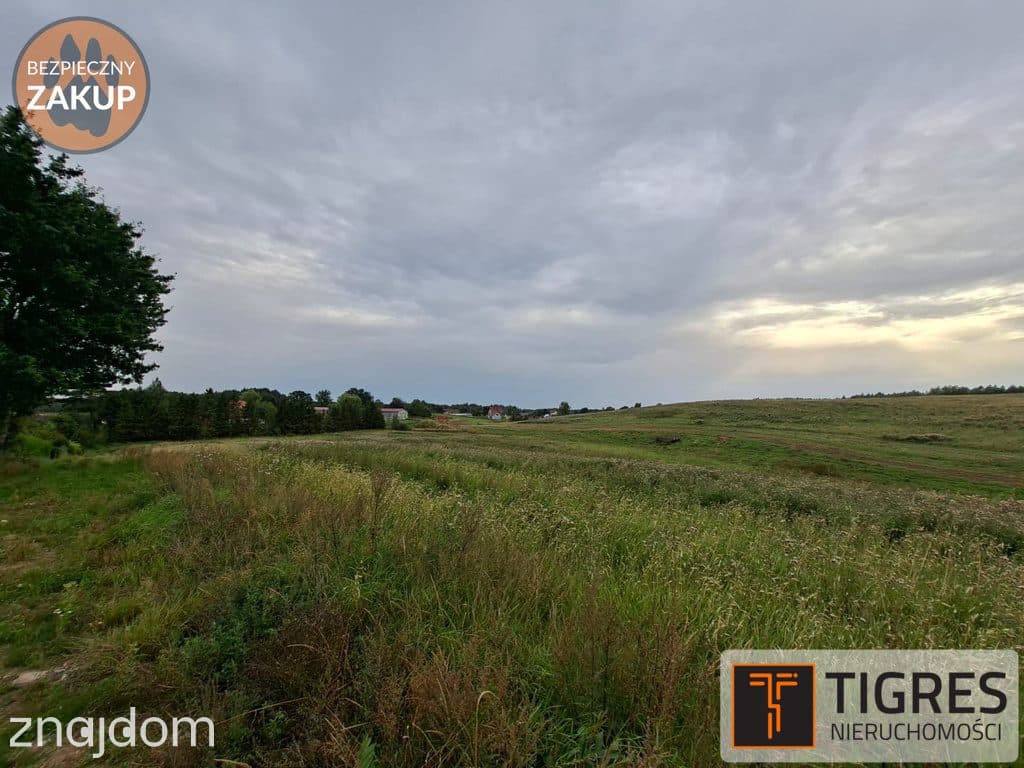DZIAŁKA BUDOWLANA 2008 m² | KOSY | MPZP 6-MN - zdjęcie 2