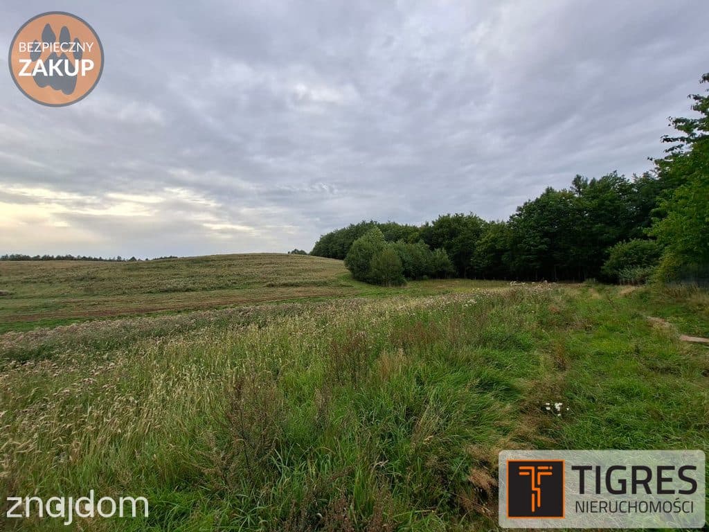 DZIAŁKA BUDOWLANA 2008 m² | KOSY | MPZP 6-MN - zdjęcie 3